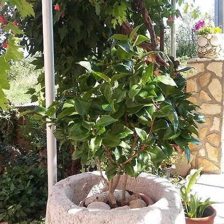 Διαμέρισμα Anica *