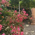 Apartman Anica