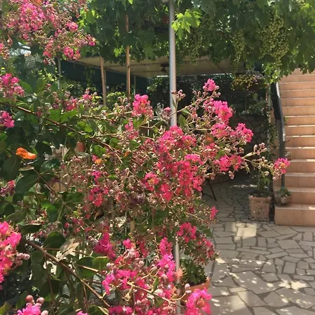 Apartament Anica
