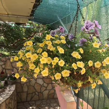 Anica Apartament Risika